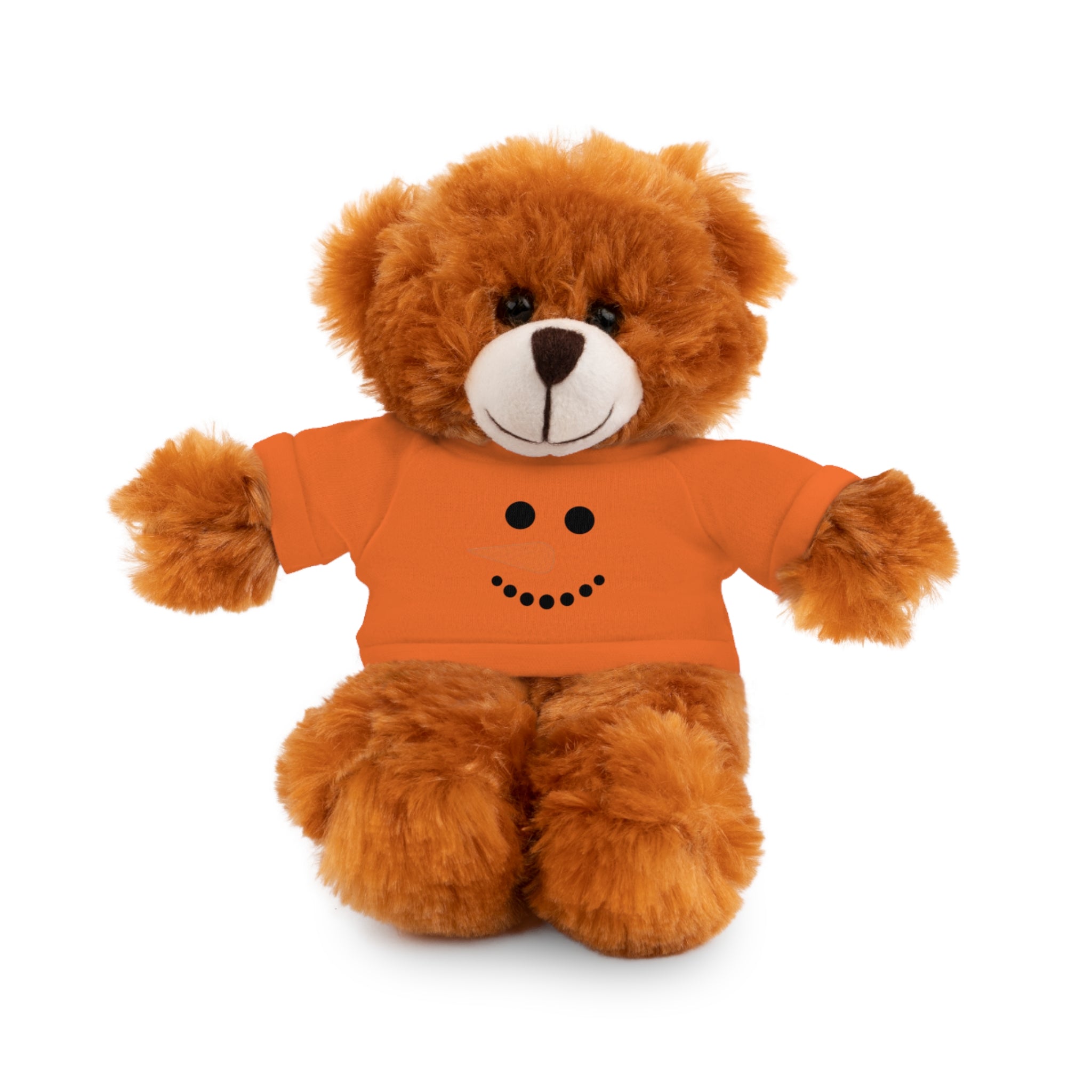 Adorable Holiday Stuffed Bear with Tee