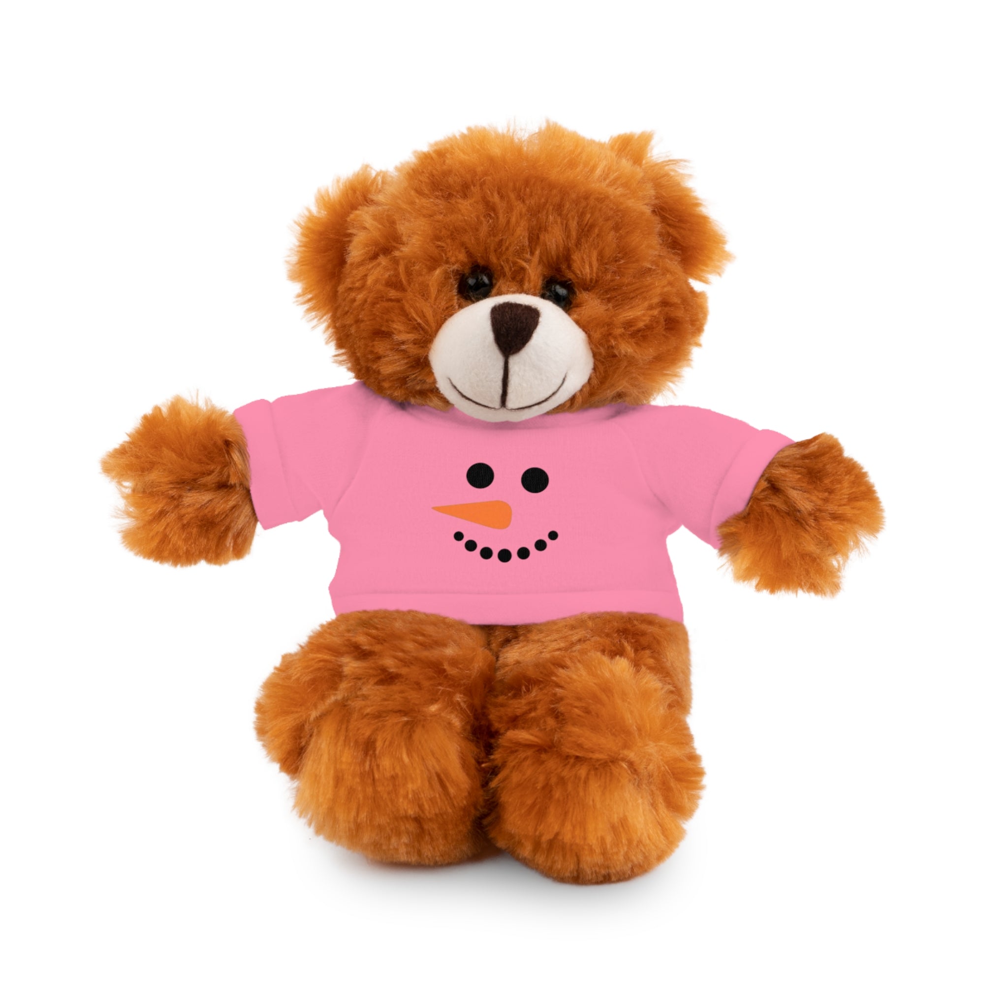 Adorable Holiday Stuffed Bear with Tee